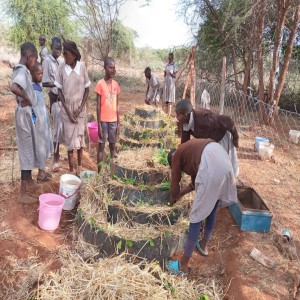 Agricultural & Sustainable Livelihoods